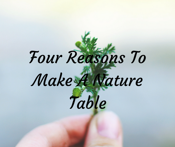 Nature Table