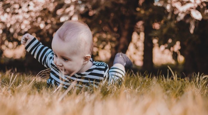 Baby in grass camping