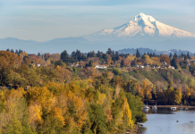 Many trees in fall colors along Hood River with a view of Mt Hood in the background