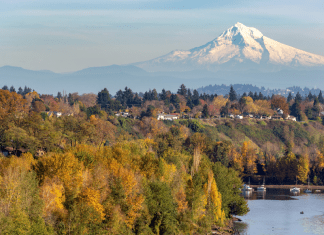 Many trees in fall colors along Hood River with a view of Mt Hood in the background