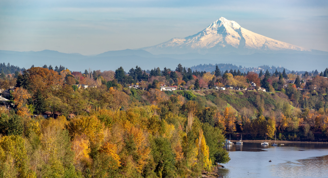  Many trees in fall colors along Hood River with a view of Mt Hood in the background