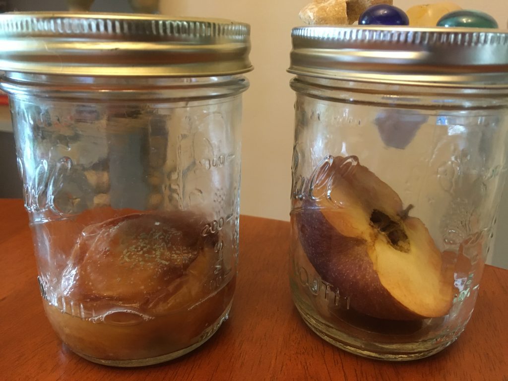 apple energy experiment