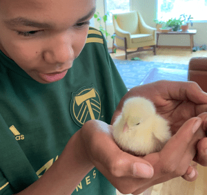 Kid with Baby Chick