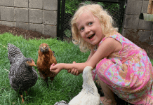 Kid with Backyard Chickens