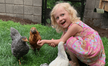 Kid with Backyard Chickens