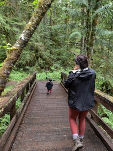 A mom hikes in the woods with a baby in a carrier and a toddler ahead of her.