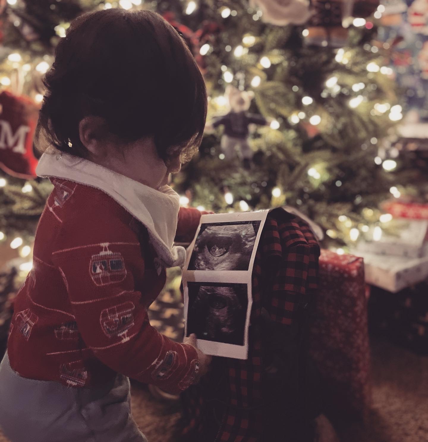 A baby looks at ultrasound pictures near a Christmas tree