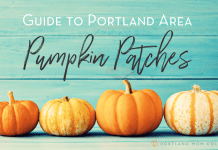 Teal wooden board background with 4 pumpkins sitting at the bottom with the text Guide to Portland Area Pumpkin Patches above