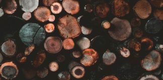 A collection of logs for a fireplace or burning.
