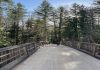 A wooden bridges stretches out in a recreation area.
