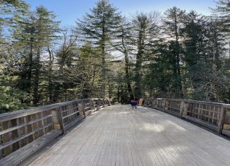 A wooden bridges stretches out in a recreation area.