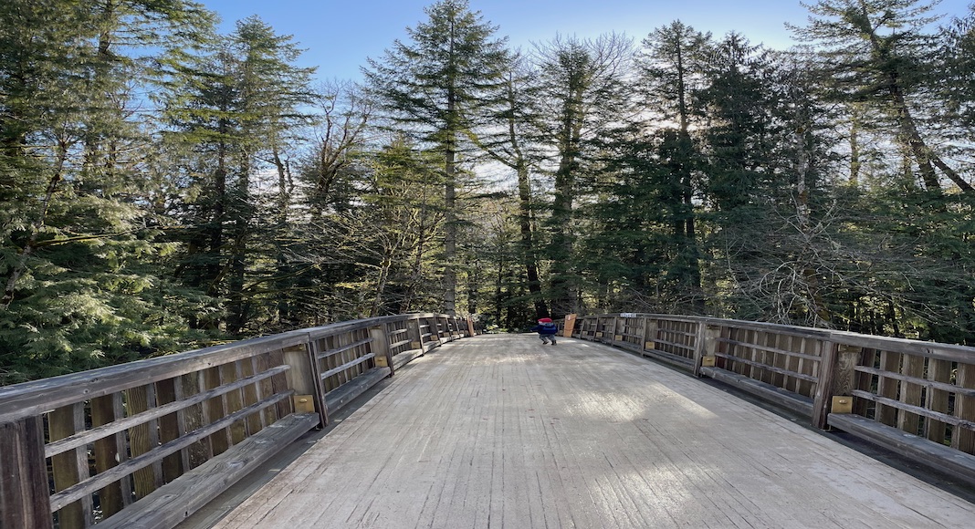Someone walks across a wooden bridge in a recreational area.